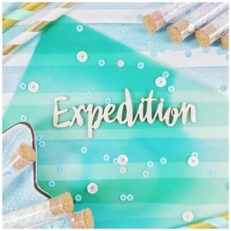 Чипборд Надпись Expedition