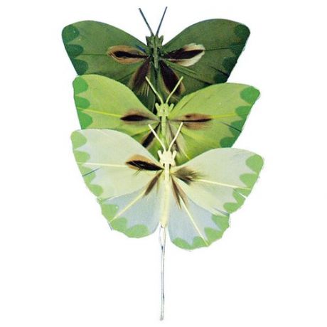 Набор декоративных элементов Бабочки RAYHER 2 x 4 см 8518313