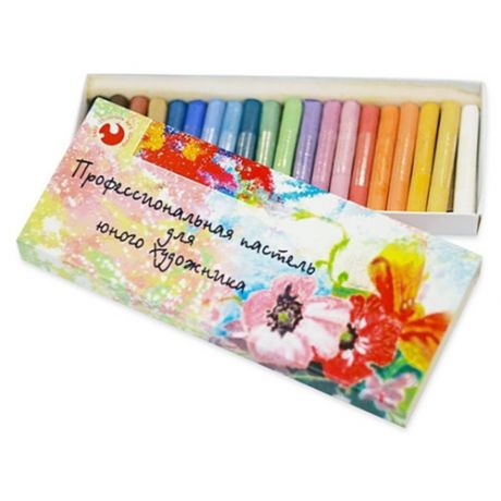 Набор сухой пастели «Юный Художник» 20 цветов в картонной коробке