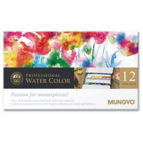 Набор акварели Mungyo Gallery 12 цветов мал. кюветы в металлической коробке MGMWPH12