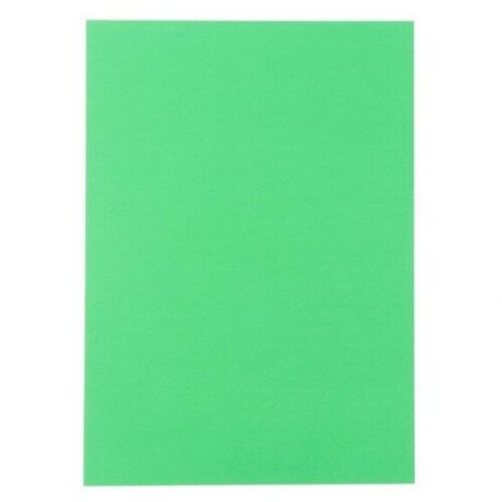 Набор цветного картона, А4 "тонированный В массе" 10 лист, зелёный, 180 г/м2, 21х29,7 см микс
