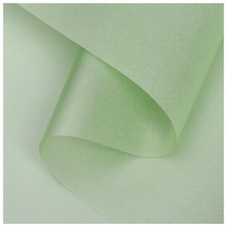 Бумага тишью водоотталкивающая с ламинацией, цвет светло-зеленый, 58 см x 5 м 75 микрон