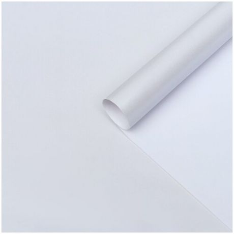 Бумага перламутровая, белая, 0,5 х 0,7 м, 2 листа