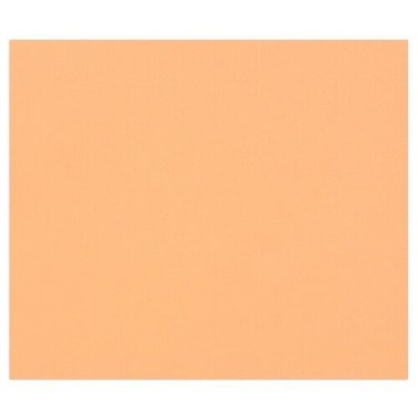 Цветная бумага 500×650мм., Clairefontaine «Tulipe», 25л., 160г/м2, лососевый, лёгкое зерно