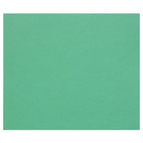 Цветная бумага Clairefontaine 500*650 мм, "Tulipe", 25 листов, 160 г/м2, темно-зеленый, легкое зерно (960178C)