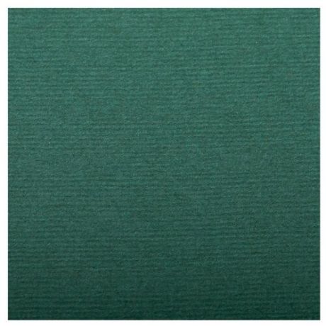 Бумага для пастели 25л. 500×650мм Clairefontaine «Ingres», 130г/м2, верже, хлопок, темно-зеленый