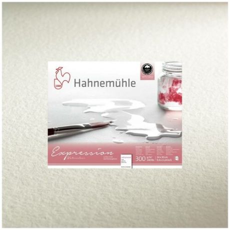 Альбом-склейка для акварели Hahnemuhle "Expression" 24х30 см 300г 20л среднее зерно, хлопок 100%