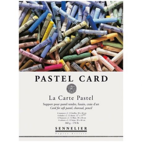 Альбом-склейка для пастели Sennelier "Pastel Card" 30х40 см 12 л 360 г, 6 цветов