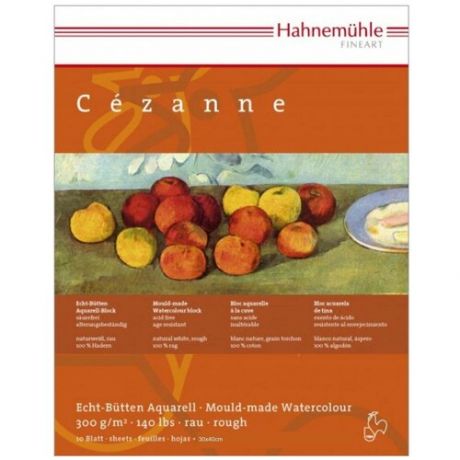 Альбом-склейка для акварели Hahnemuhle "Cezanne" 30х40 см 10 л 300 г хлопок 100% крупное зерно