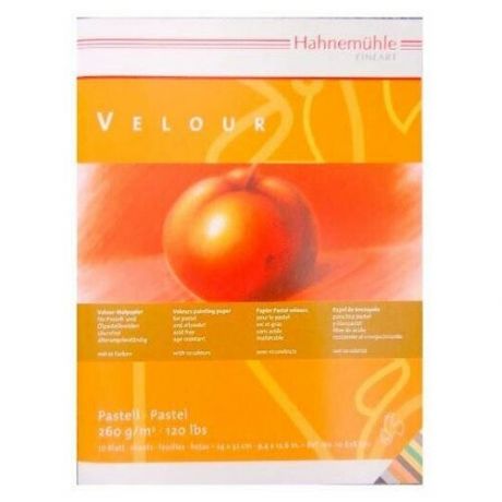 Альбом-склейка для пастели Hahnemuhle "Veloure" 24х32 см 10 л 260 г 10 цветов