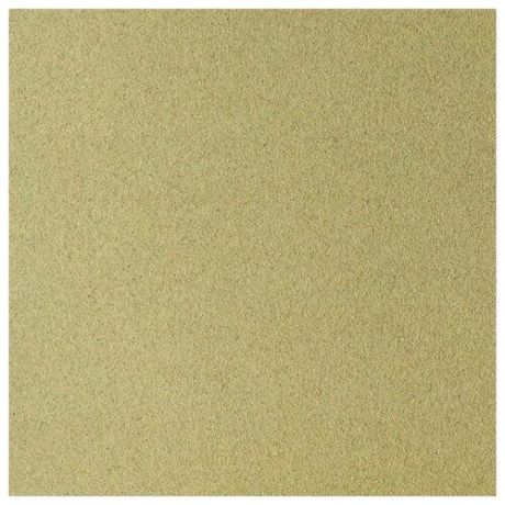 Бумага для пастели Sennelier "Pastel Card" 50*65 см 360 г, светло-зеленый