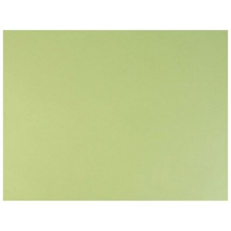 Бумага для пастели (1 лист) FABRIANO Tiziano А2+ (500х650 мм), комплект 100 шт., 160 г/м2, салатовый теплый, 52551011
