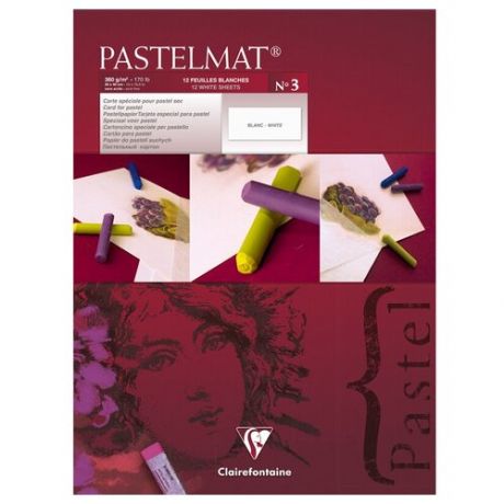 Альбом-склейка для пастели Clairefontaine "Pastelmat" 30х40 см 12 л 360 г, бархат, белый