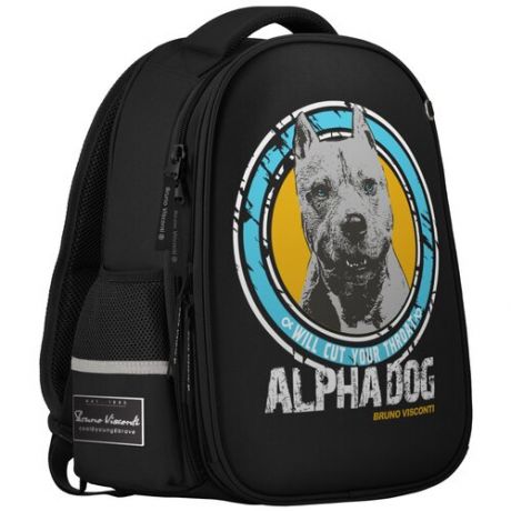 Рюкзак- облегченная капсула черный с эргономичной спинкой "ALPHA DOG"