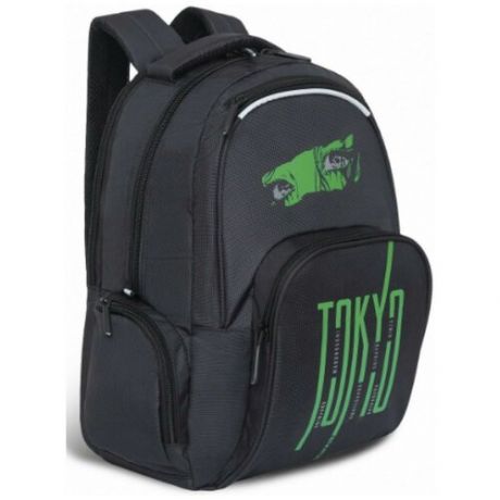 Рюкзак GRIZZLY RU-233-4 черный - зеленый