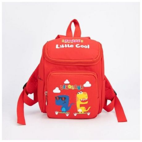 Рюкзак детский, отдел на молнии, наружный карман, 2 боковых кармана, цвет красный, «Дино