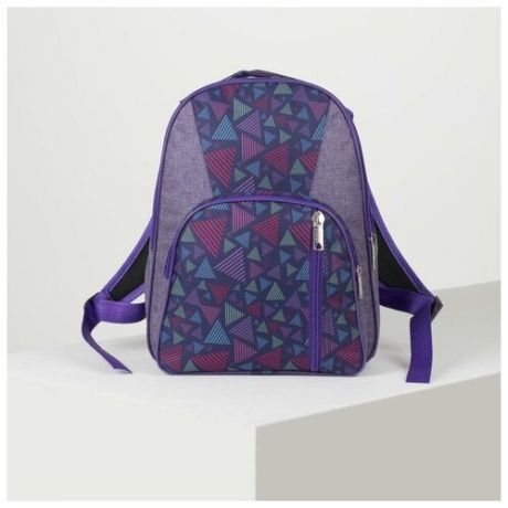 Рюкзак школьный, 2 отдела на молниях, 2 наружных кармана, цвет фиолетовый