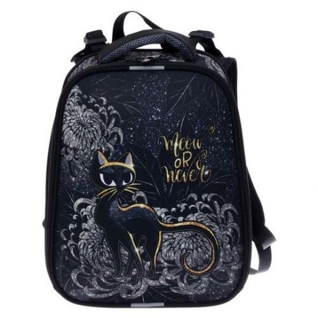 Рюкзак каркасный 38 x 30 x 16 см, эргономичная спинка, "Чёрная кошка", синий/серебряный