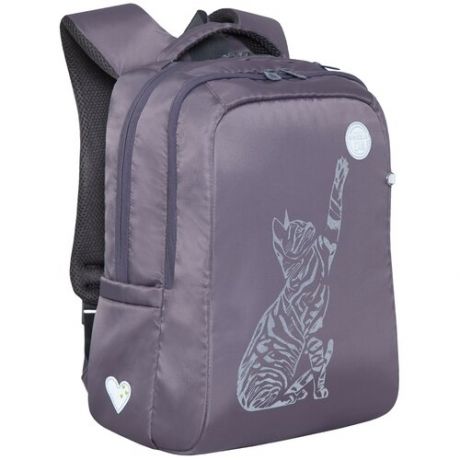 Рюкзак школьный с карманом для ноутбука 13", двумя отделениями, анатомической спинкой, для девочки RG-266-3/2