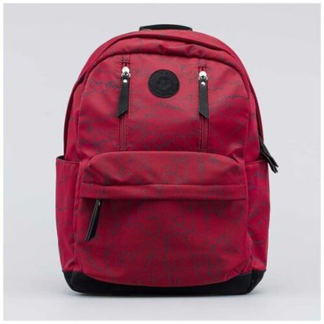 Рюкзак школьный для девочки-подростка Котофей 02804190-01 выс.38 см.