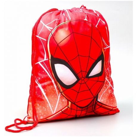 Мешок для обуви 420 x 350 мм, Spider-man