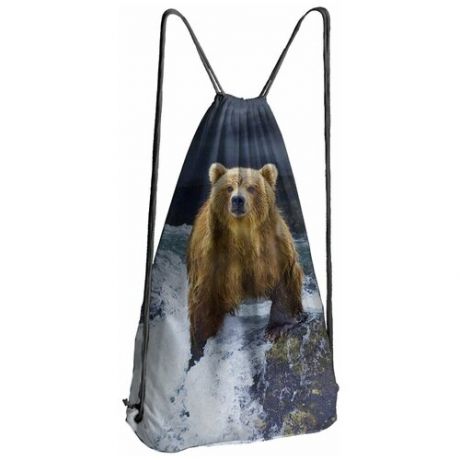 Сумка, рюкзак для сменной обуви Медведь на водопаде