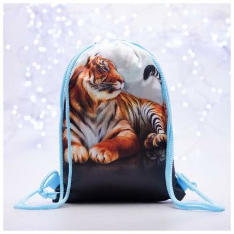Мешок-рюкзак новогодний, 21 x 29 см, отдел на шнурке, цвет голубой, "Тигр"