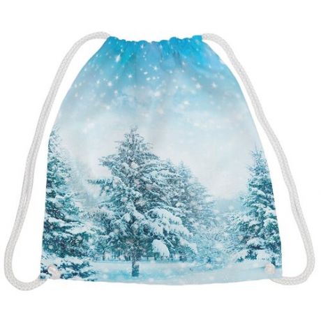 JoyArty Рюкзак-мешок Зима в лесу bpa_44969, белый/голубой