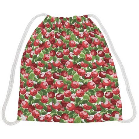 JoyArty Рюкзак-мешок Яблочный сад bpa_50770, красный/зеленый