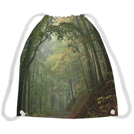 JoyArty Сумка-рюкзак Спокойный лес bpa_37350, зеленый