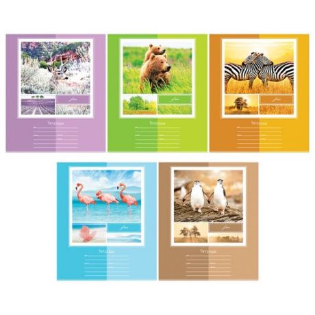 ArtSpace Упаковка тетрадей школьных Животные. В мире животных Т12л_29860, 20 шт., линейка, 12 л., разноцветный
