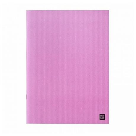 Бизнес-тетрадь Be Smart Color A5 40 листов розовая в клетку на скрепке 150x210 мм, 1326482