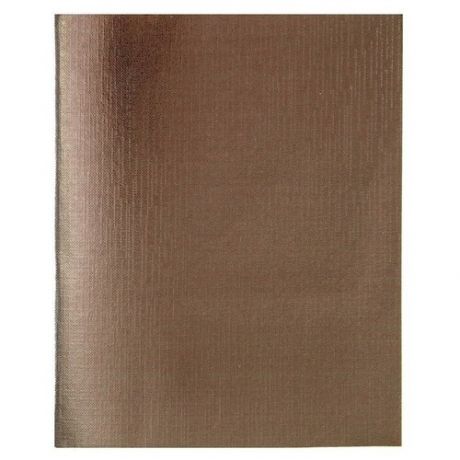 Бизнес-тетрадь Hatber Metallic А5 96 листов коричневая в клетку на скрепке (148x210 мм)