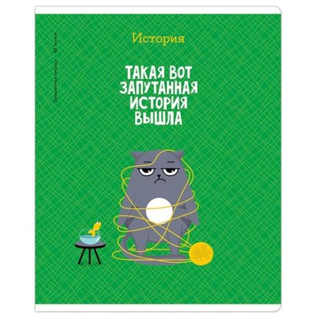 ArtSpace Комплект предметных тетрадей 