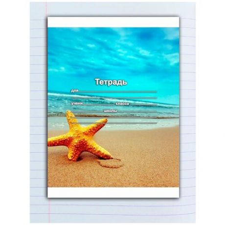 Набор тетрадей 5 штук, 18 листов в линейку с рисунком Море. Пляж и морская звезда в песке