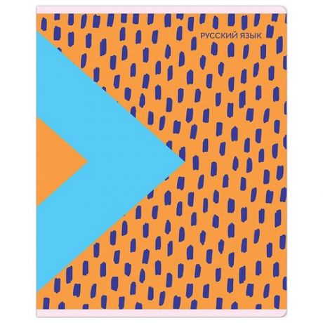 MESHU Упаковка предметных тетрадей "Bright splash" Русский язык, MS_42563, 10 штук, линейка, 48 л., оранжевый/голубой