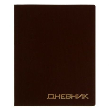 Дневник премиум класса 1-11кл Балакрон VIGO VA0203, софт-тач, коричневый