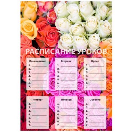 Расписание уроков Розы разных цветов