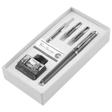 Набор Pierre Cardin We-Share - Gray, перьевая ручка M + 2 сменных пера + чернила + конвертер