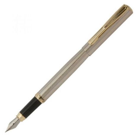 Ручка Pierre Cardin Eco, перьевая, PC0865FP, стальной