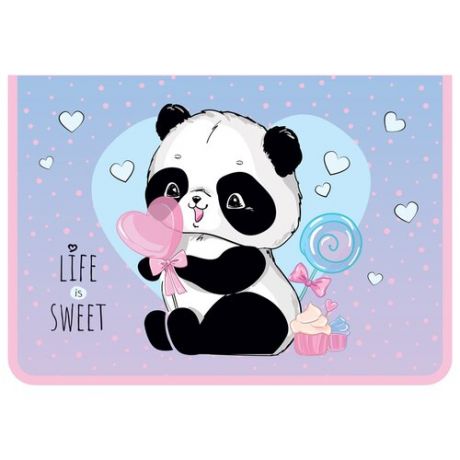 ArtSpace Папка для тетрадей А4 Sweet Panda на молнии пластик, розовый/голубой