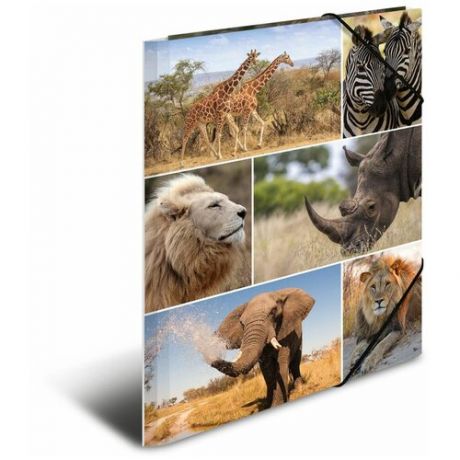 Папка на резинке Herma Животные Африки, A4