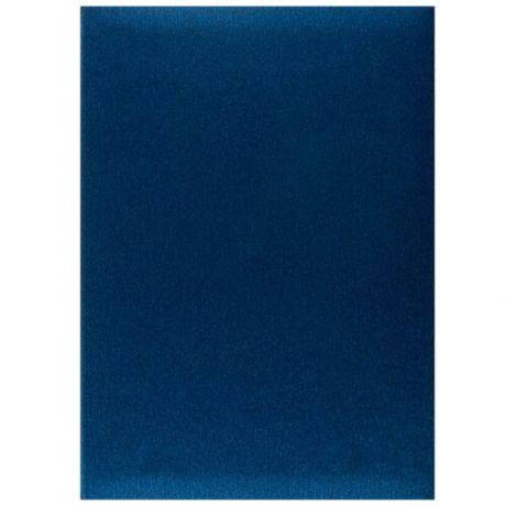 Папка адресная без надписей (225x310мм, танго) синяя, 1шт.