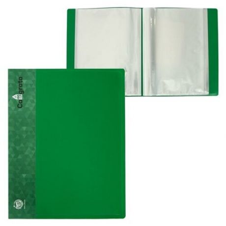 Папка А4 Calligrata, 80 прозрачных вкладышей, 700 мкм, карман на корешке, зеленая