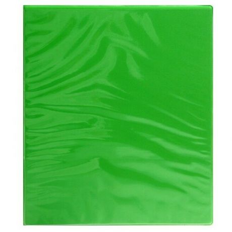 Папка «Панорама», на 4-х кольцах, с передним прозрачным карманом, формат А4, 40 мм, до 250 листов, зеленая