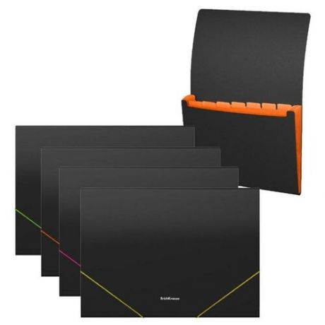Папка-картотека на резинке 6 отделений ErichKrause Matt Classic, A4, черная