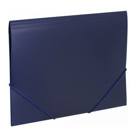 Папка на резинках BRAUBERG "Contract", комплект 30 шт синяя, до 300 листов, 0.5 мм, бизнес-класс, 221797