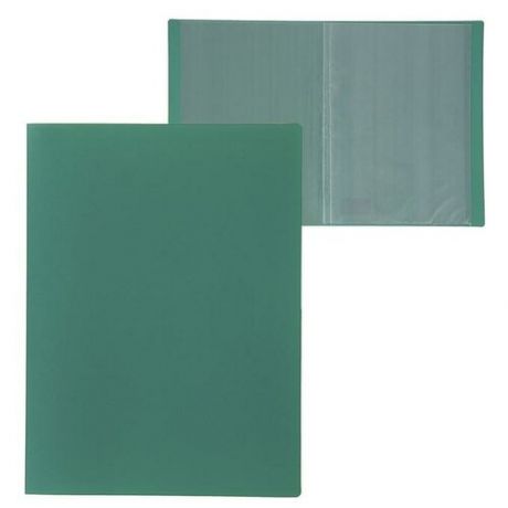 Папка A4, 10 прозрачных вкладышей, 500 мкм, Calligrata, песок, зелёная