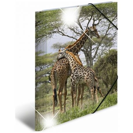 Папка на резинке Herma Glossy Animals "Жираф", A4