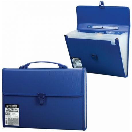Папка-портфель пластиковая BRAUBERG А4 (332х245х35 мм), комплект 5 шт., 13 отделений, синяя, 221379